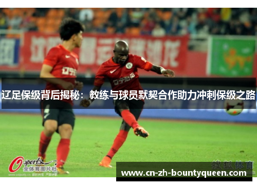 辽足保级背后揭秘：教练与球员默契合作助力冲刺保级之路