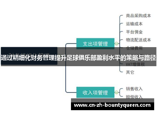 通过精细化财务管理提升足球俱乐部盈利水平的策略与路径