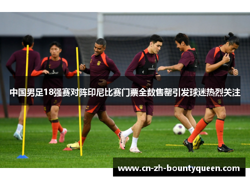 中国男足18强赛对阵印尼比赛门票全数售罄引发球迷热烈关注